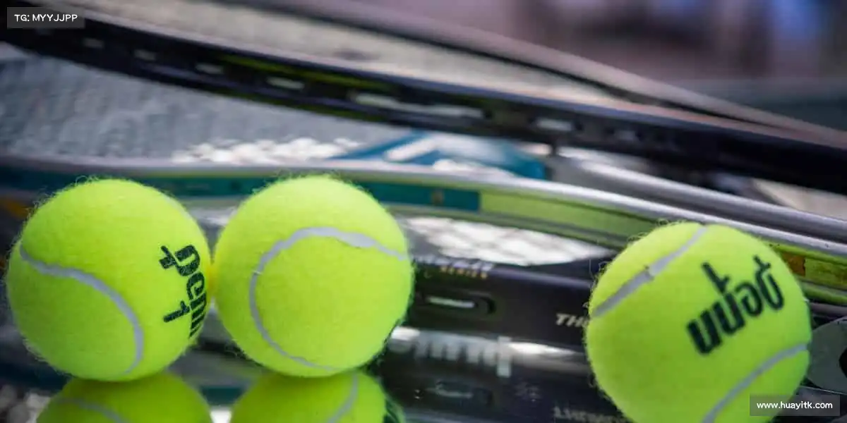 为什么选择我们